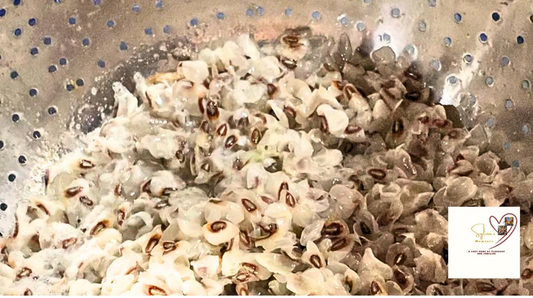 Sieved seedcoat from beans used in making Moi Moi
