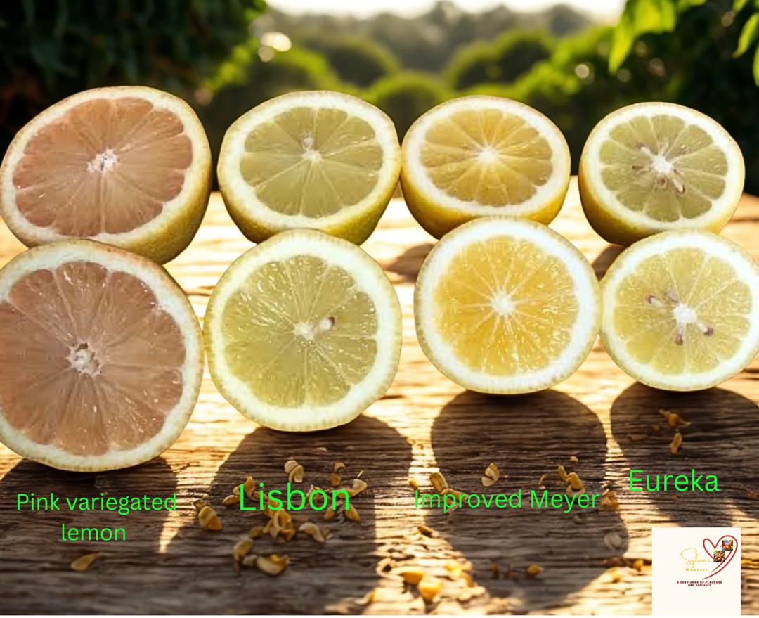 varieties of lemon for breast feeding