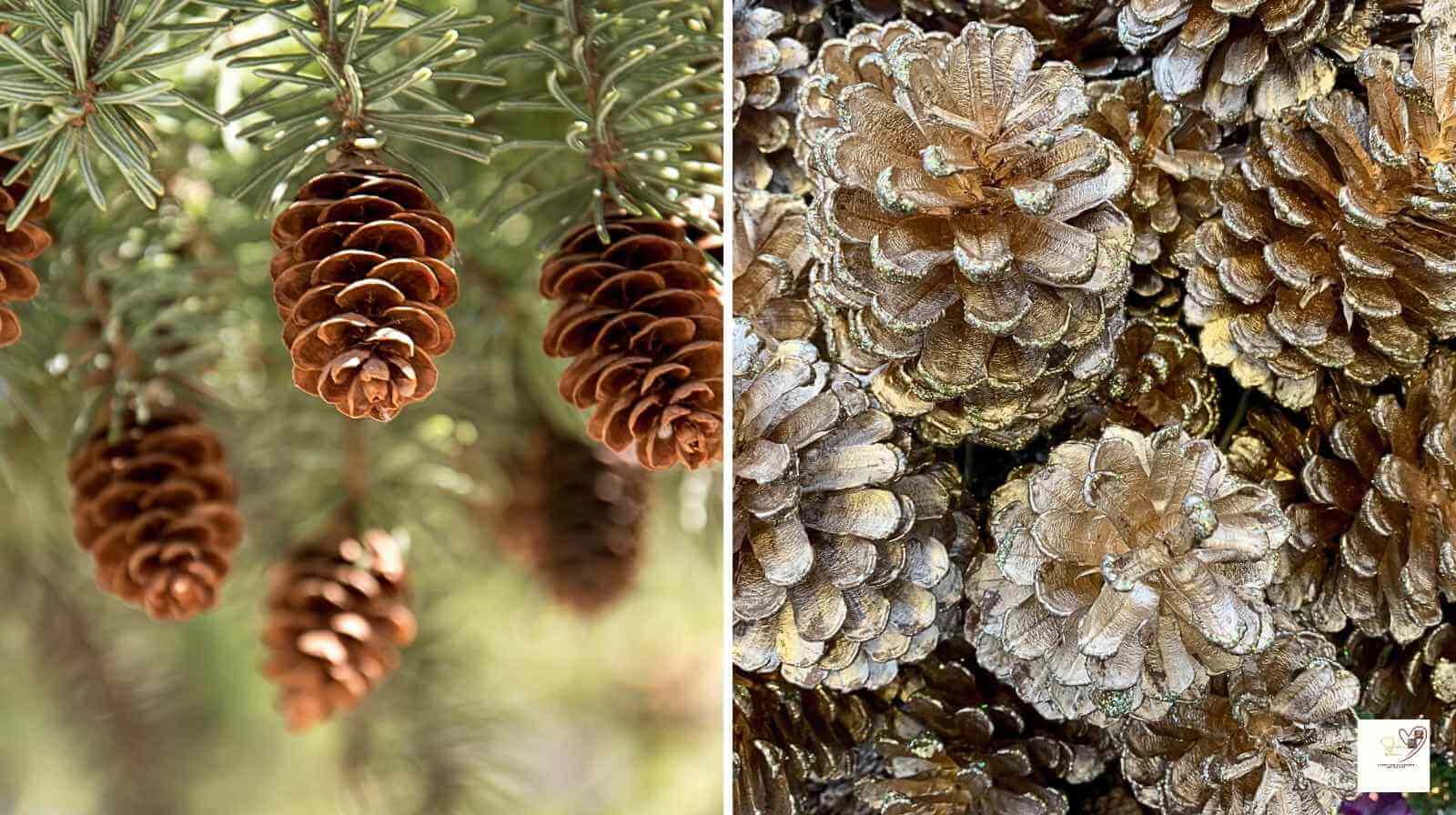  10-Easy-DIY-Christmas-Crafts-Using -Nature-Collection-and-painting-of-Christmas-pinecones