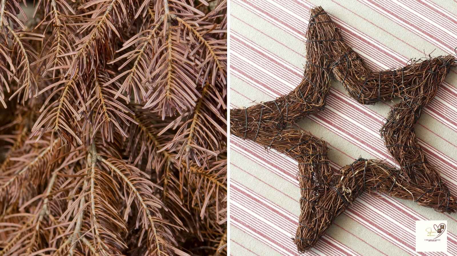 Dried-Twig-Star-for-DIY-CHRISTMAS-DECORATION