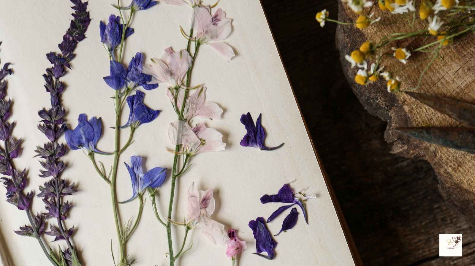  Leaves-That-Match-Your-Decor-Theme