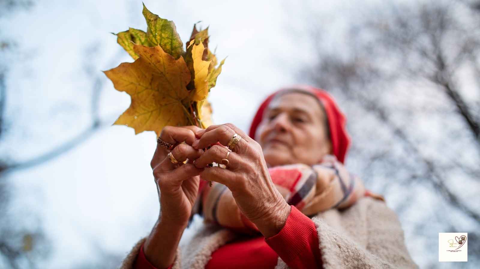  10-Easy-DIY-Christmas-Crafts-Using -Nature-Picking-clean-leaf-for-diy-christmas-design