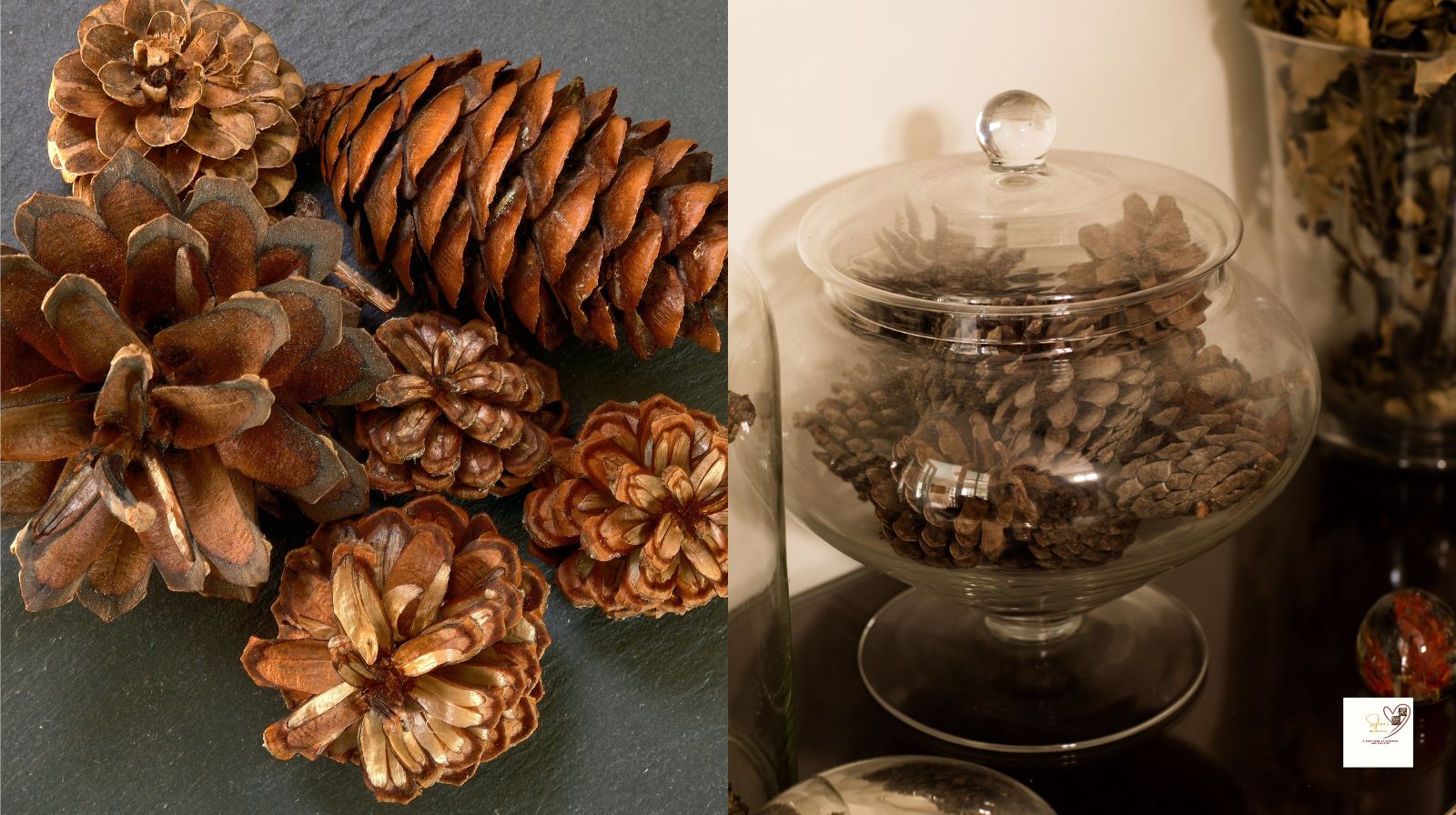  Pinecone-designs-for-thanksgiving