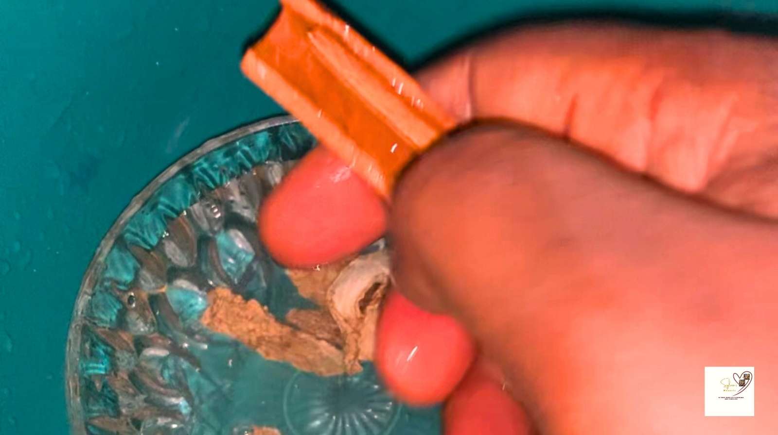 washing-cinnamon-stick-for-Zobo-flavour