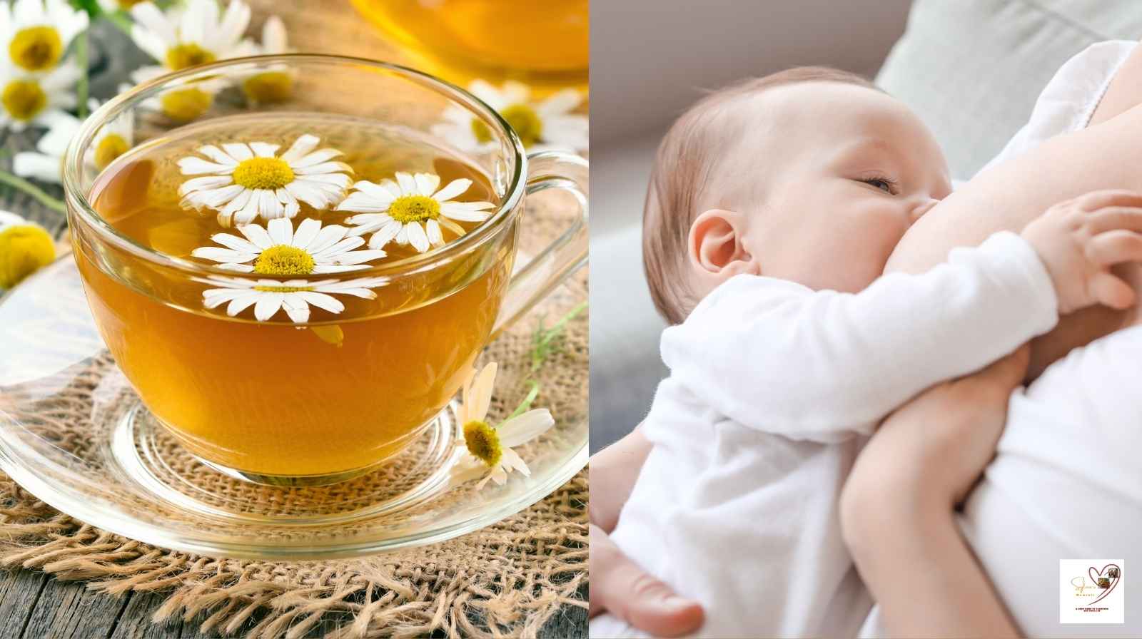 Chamomile-tea-and-breastfeeding