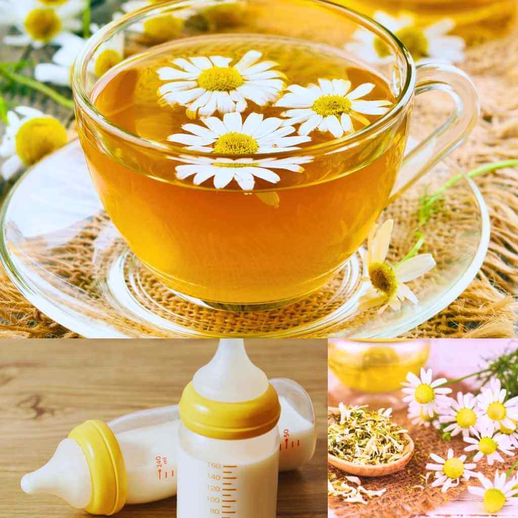 FEATURED-IMAGE-OF-CHEMOMILE-TEA-AND-BREASTFEEDING-1.