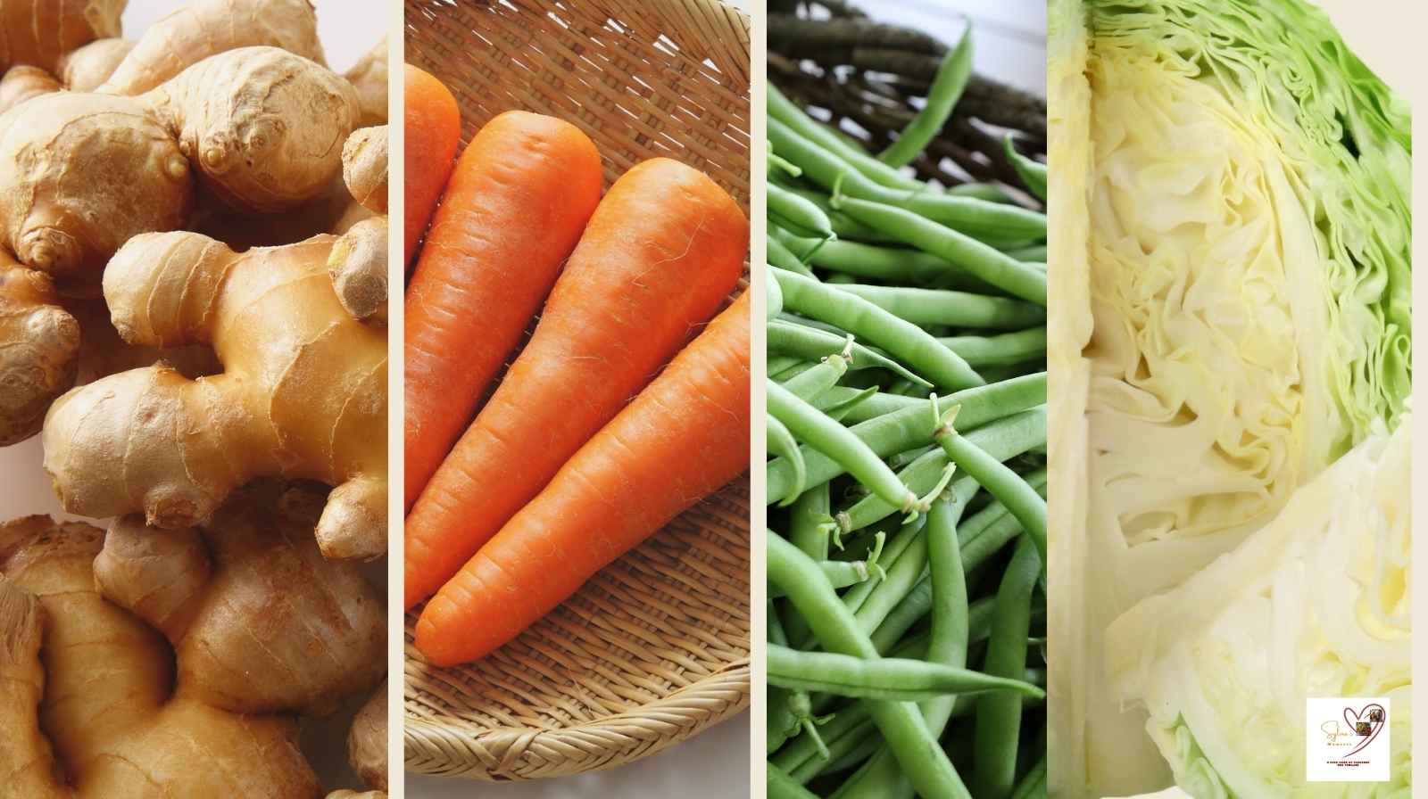 Vegetables-chicken-curry-recipe.