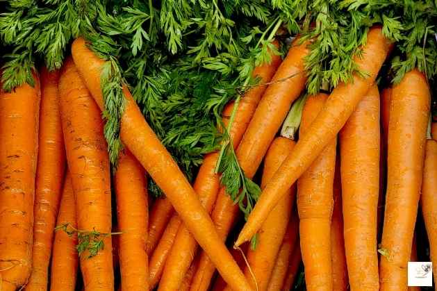 CARROTS