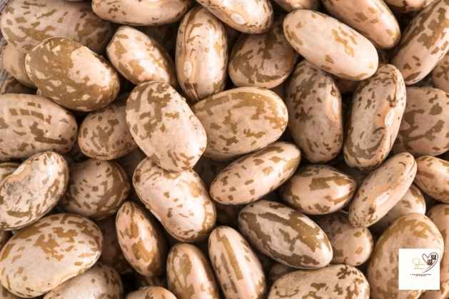 Pinto-Beans