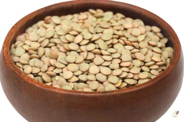 Lentil