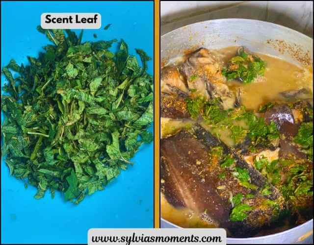 Adding-scent-leaf-Catfish-Pepper-Soup-with-unripe-plantain-recipe