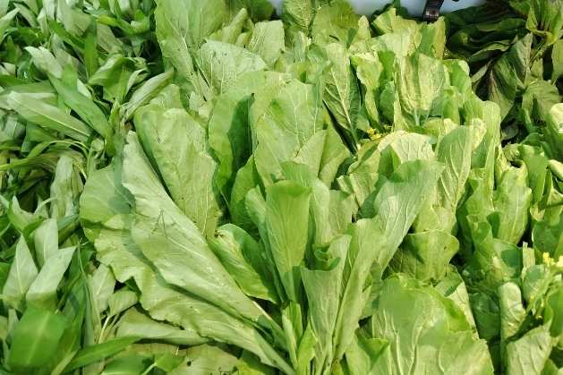 MUSTARD-GREENS-45-Magnesium-Rich-Foods-For-Better-Sleep-And-Energy