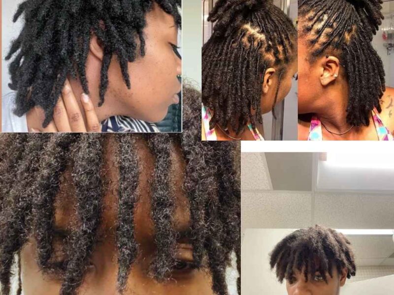 featured-Image-on-5-Different-Stages-of-Locs-and-What-to-Expect.