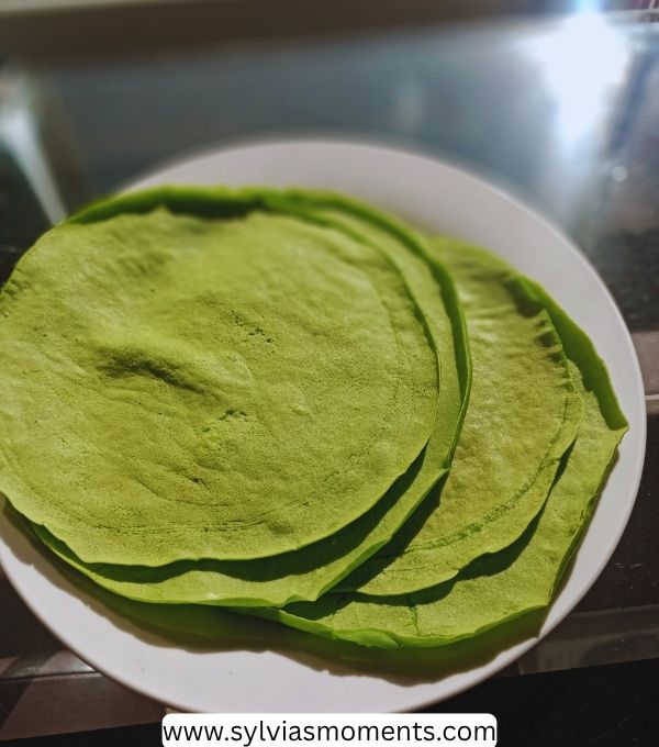 healthy-spinach-tortilla-wrap.